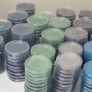 Pre Poured Agar Plates - 10