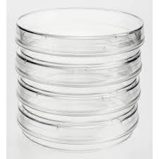 Sterilized petri dishes